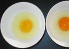 土鸡蛋和普通鸡蛋的区别