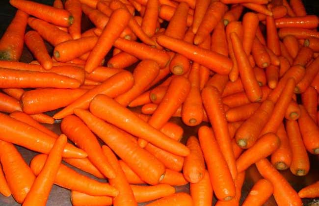 胡萝卜素的作用有哪些?