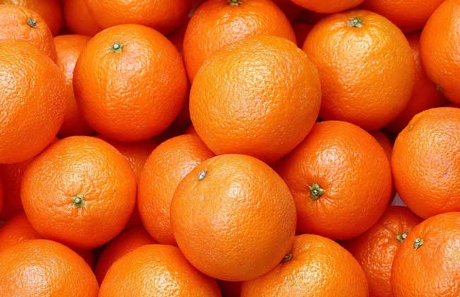 柑橘类水果图片大全
