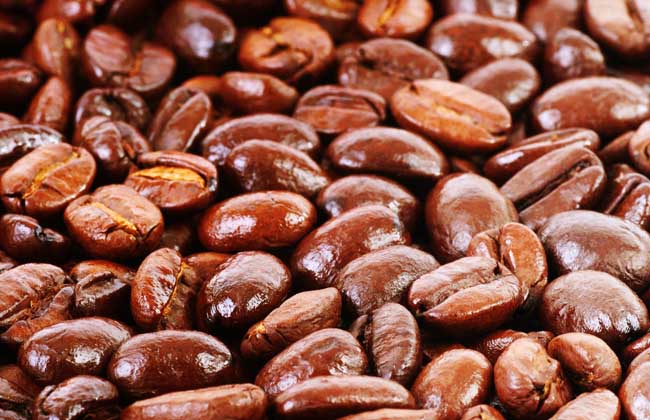 咖啡豆的种类图片大全
