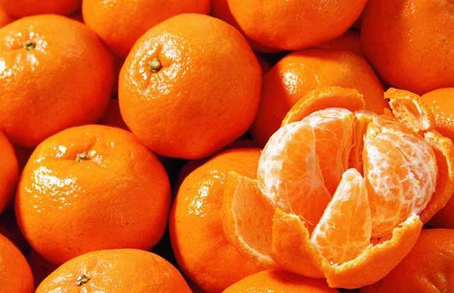 橘子品种图片大全