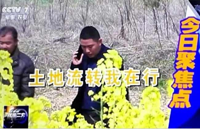 CCTV7在《聚焦三农》节目中报道解洪玲