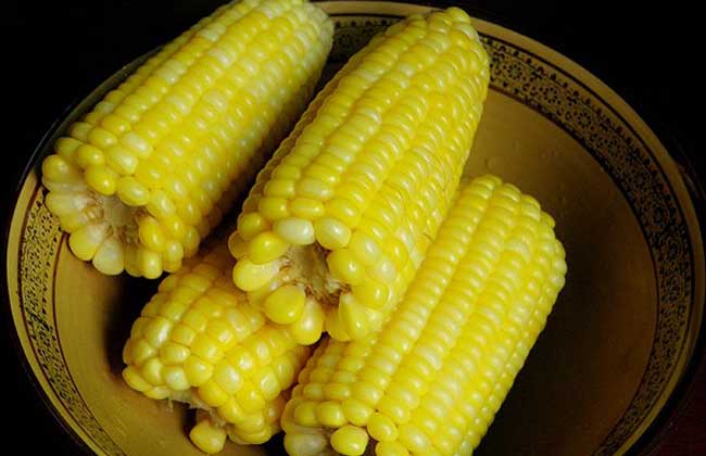 煮玉米需要多长时间?