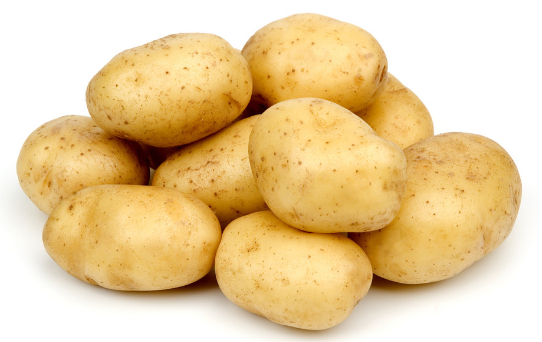 马铃薯高产栽培种植技术