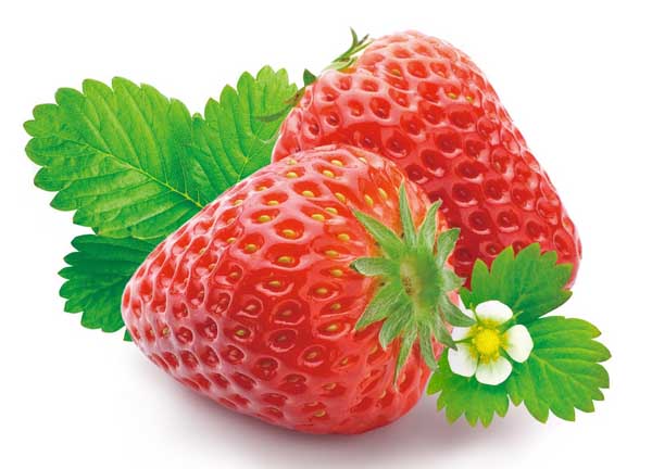 草莓的营养价值