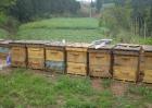 常见蜜蜂养殖工具