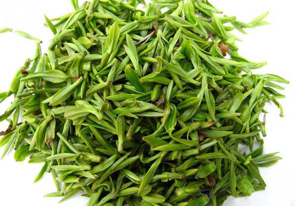绿茶的品种