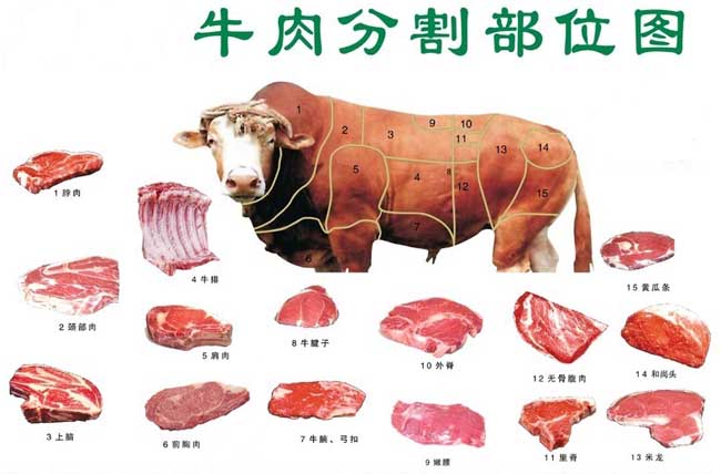 牛肉的分类