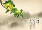 关于描写桂花的古诗词有哪些？