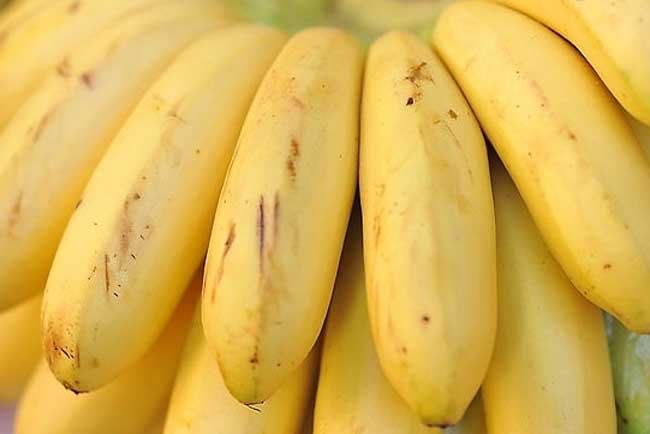 香蕉的副作用