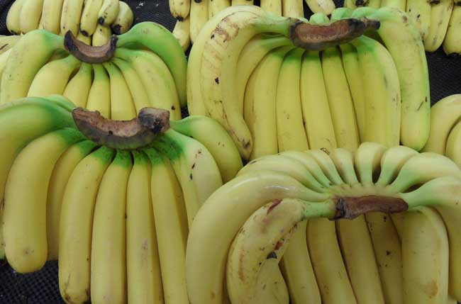 香蕉的副作用