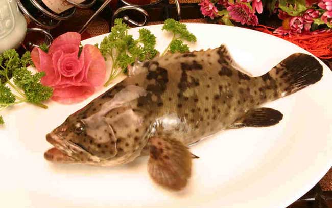 石斑鱼的营养价值