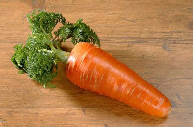 胡萝卜怎么吃最有营养