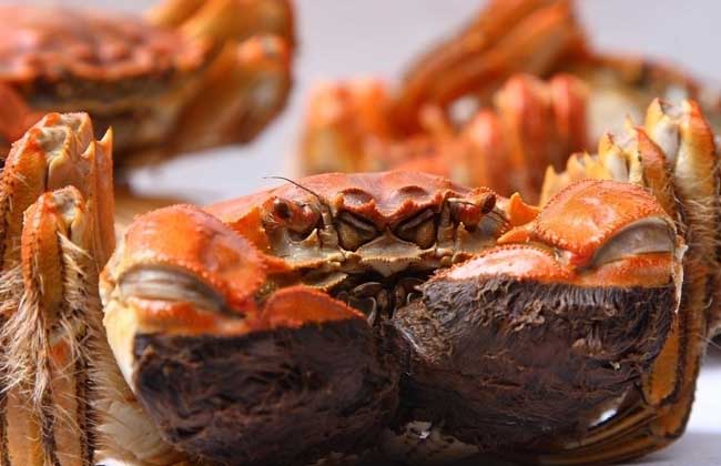死螃蟹能吃吗