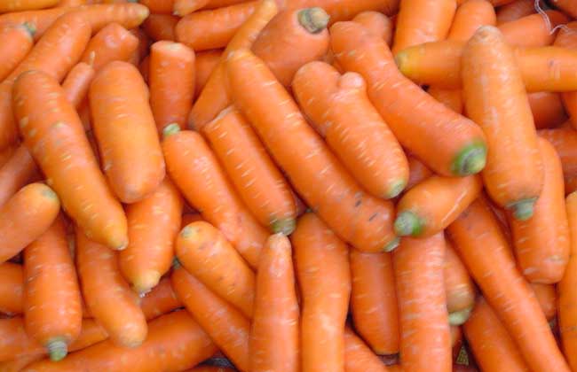 胡萝卜的减肥方法