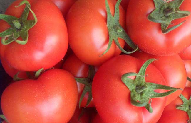 西红柿怎样减肥