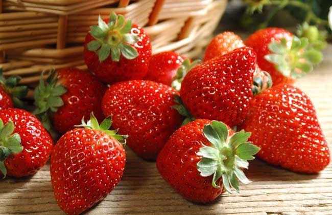 草莓的生长环境
