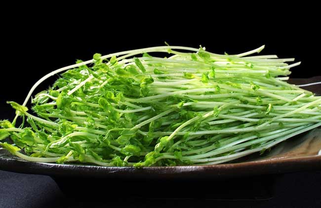 豌豆发芽能吃吗？