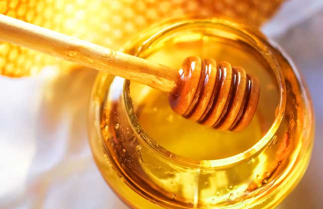 蜂蜜不能和什么一起吃