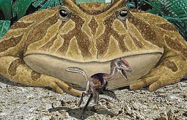 史前最大动物魔鬼蛙竟能吃恐龙