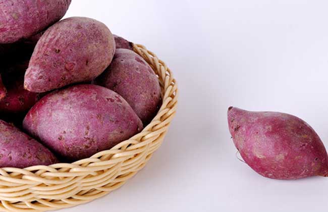 紫薯的做法大全