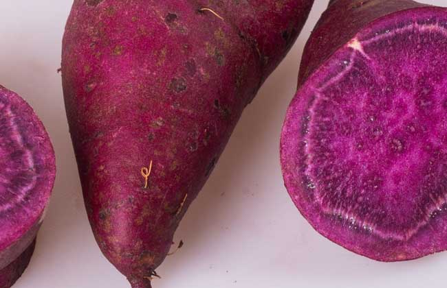 紫薯是转基因食品吗？