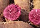 紫薯和红薯有什么区别