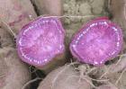 吃紫薯能减肥吗？