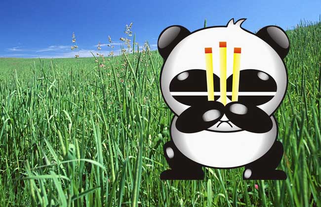 熊猫烧香是什么病毒