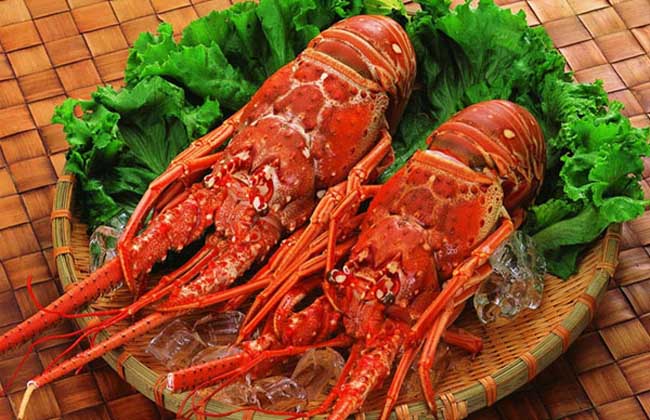 大龙虾多少钱一斤