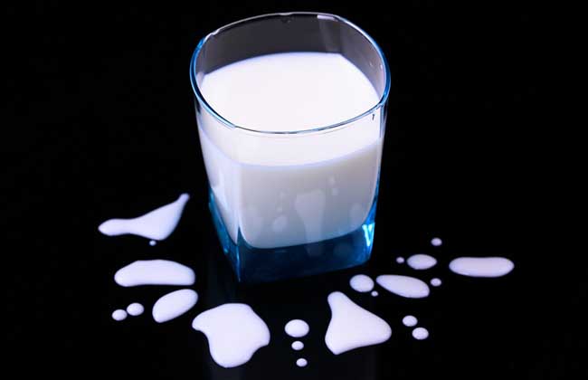 减肥能喝牛奶吗？