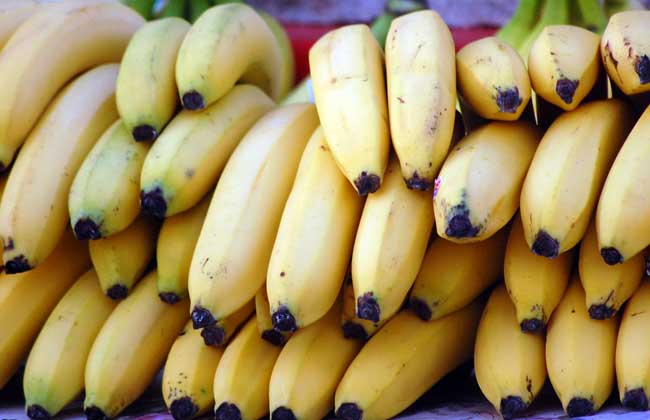 经期可以吃香蕉吗？