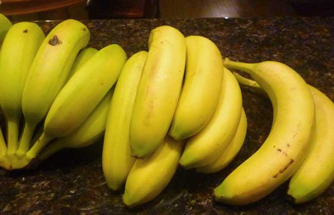 红枣香蕉酸奶减肥法