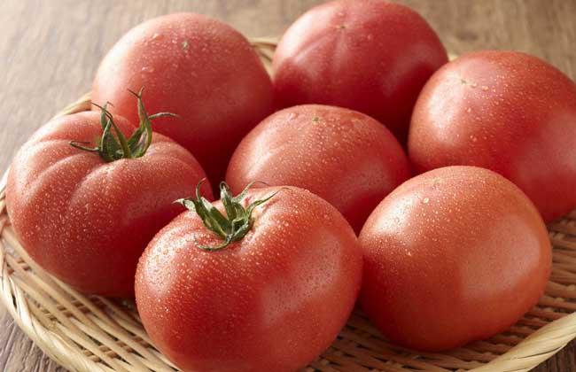 西红柿吃多了好吗