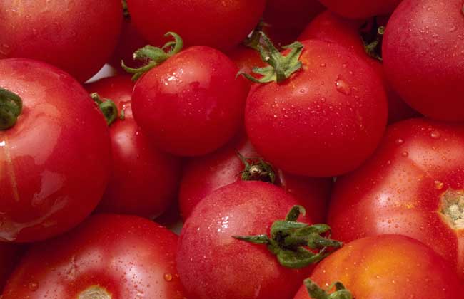 西红柿祛斑