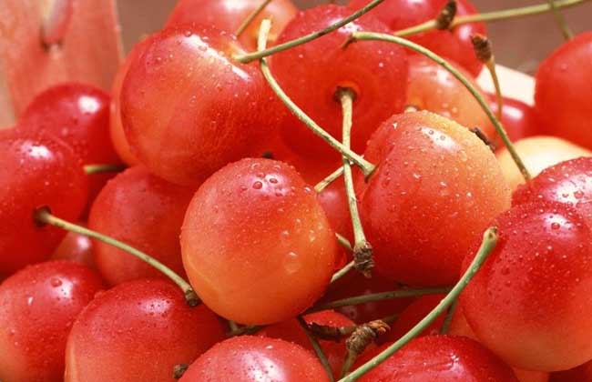 糖尿病人能吃樱桃吗