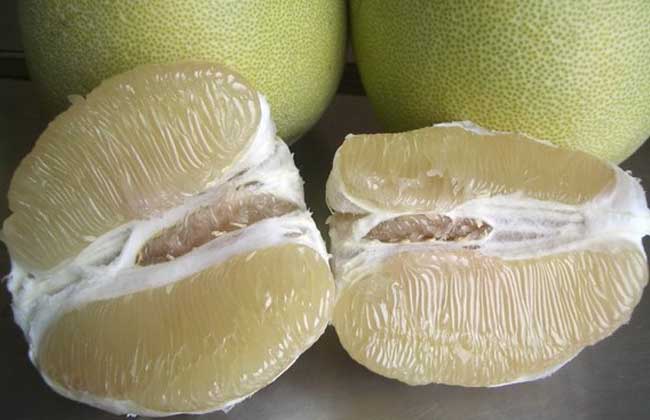 吃柚子可以减肥吗