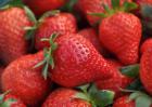 种草莓是什么意思？