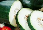 吃冬瓜可以减肥吗？