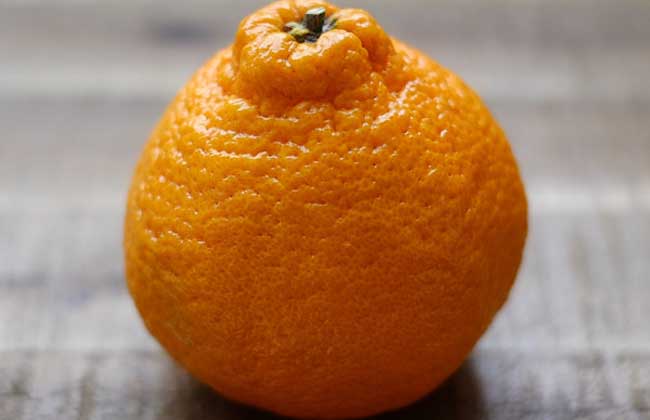 吃丑橘会上火吗