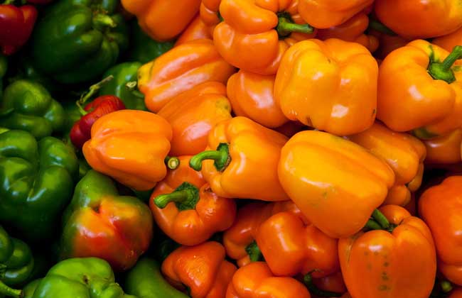 彩椒是转基因食品吗？