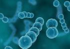 链球菌感染怎么治疗？