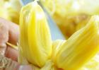 吃菠萝蜜能减肥吗？