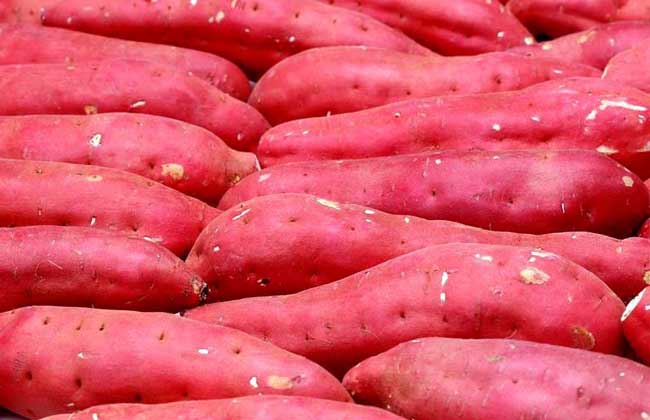 红薯怎么做好吃又简单？