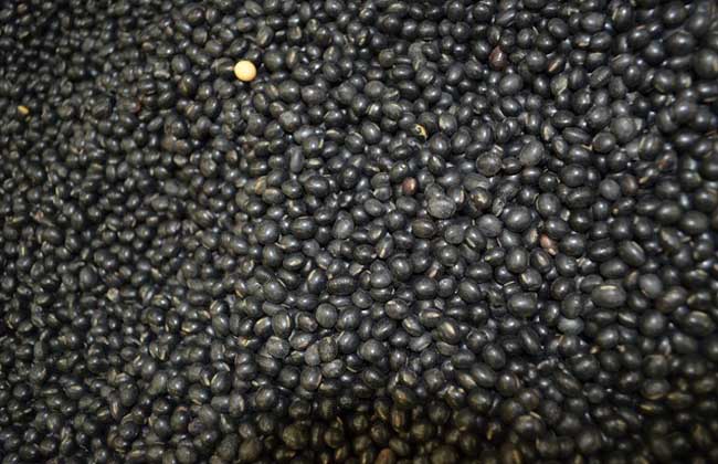 黑豆多少钱一斤