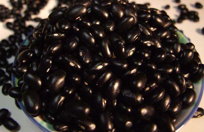 黑豆多少钱一斤