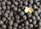 黑豆怎么吃最补肾？