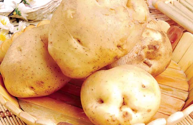 土豆的营养价值
