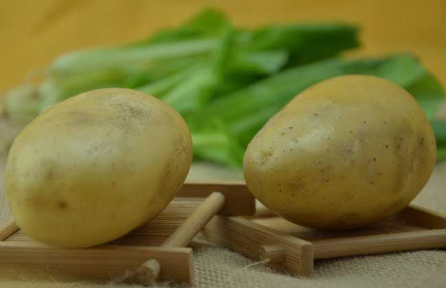 马铃薯发芽能吃吗