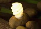 土豆发电是什么原理？